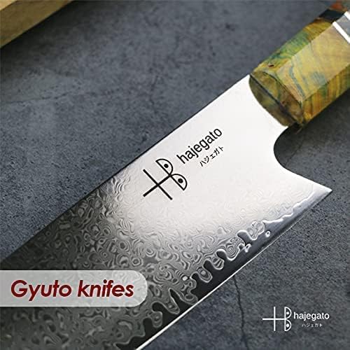 hajegato Damascus Chef Knife Unique One of Kind Handle Professional Japanese Chefs Kitchen Knife Vg10 67 Layers Damascus Steel Knive (Gyuto 10)