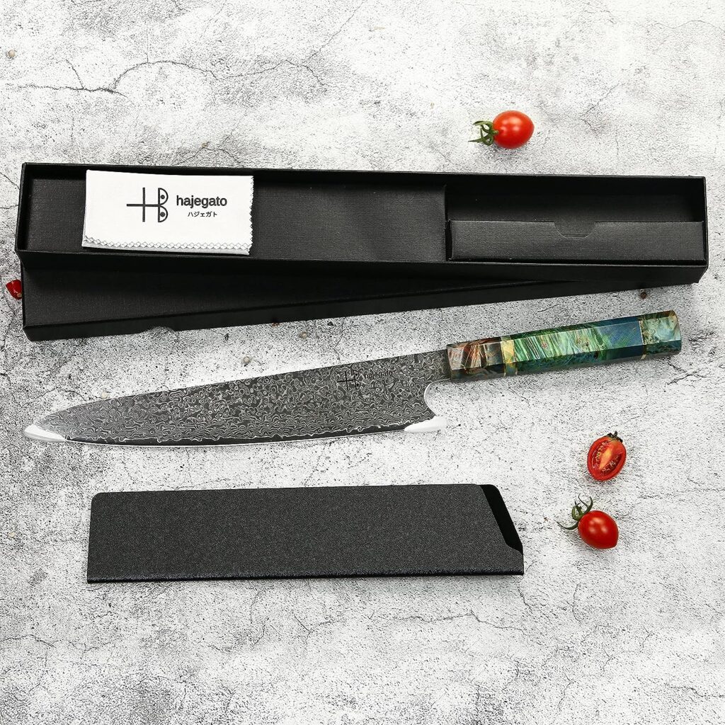 hajegato Damascus Chef Knife Unique One of Kind Handle Professional Japanese Chefs Kitchen Knife Vg10 67 Layers Damascus Steel Knive (Gyuto 10)